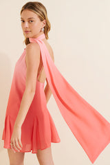 Ari Neck Scarf Mini Dress