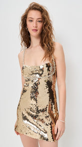 Aderyn Sequin Dress