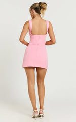 Panel Dress in Pink