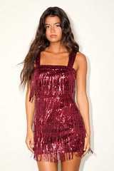 Fringe Fashion Burgundy Sequin Fringe Bodycon Mini Dress