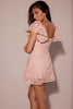 perfectly pink floral lace mini dress